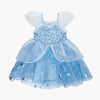 Princess Elsa Inspired Girls Short Sleeve Dress